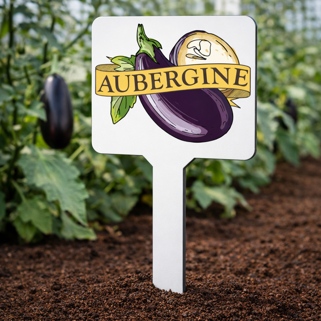 Aubergine Plant Marker