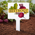 Beetroot Plant Marker