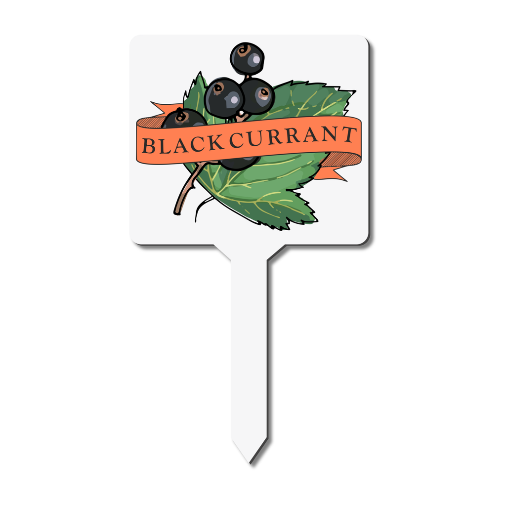 Blackcurrant Plant Marker