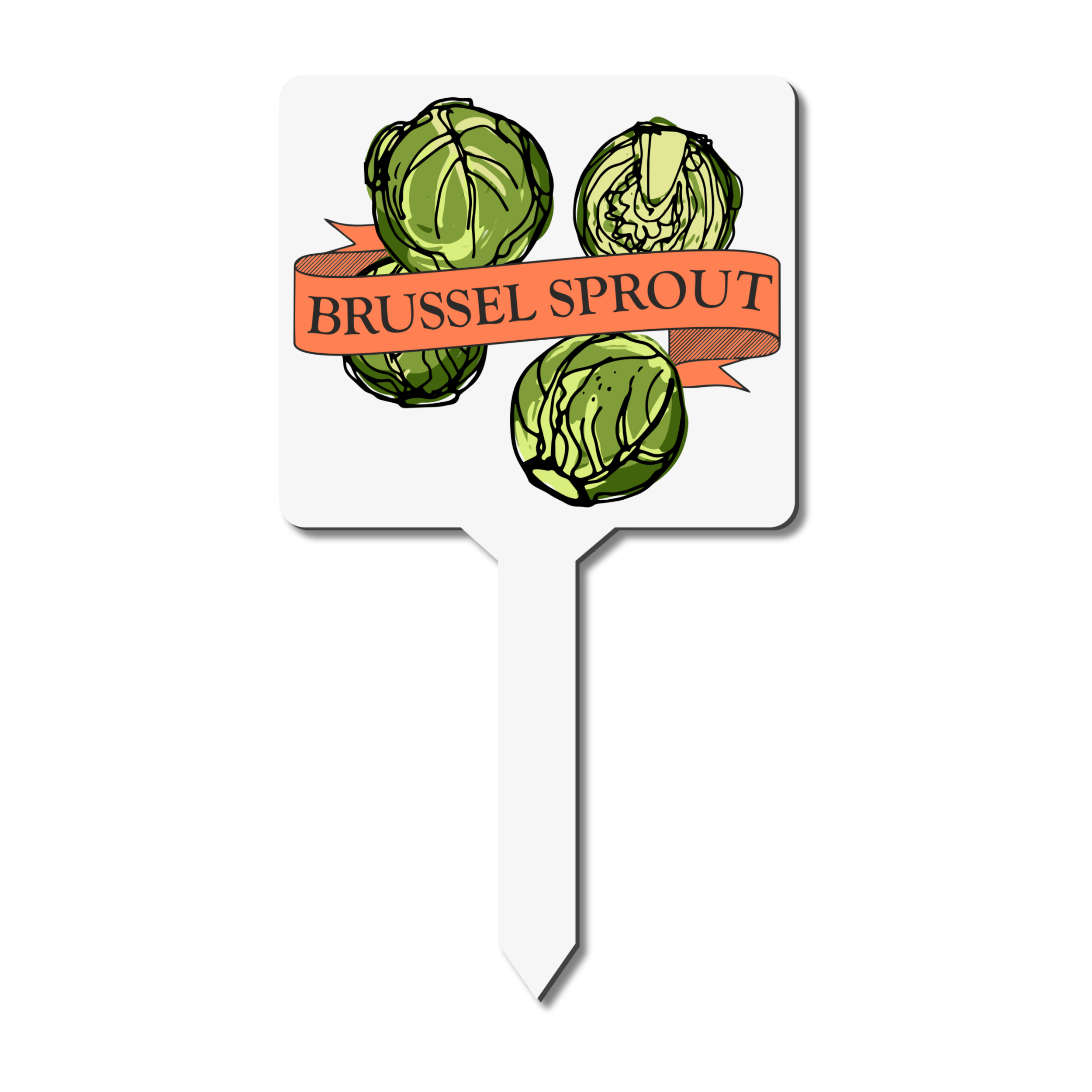 Brussel Sprout Plant Marker