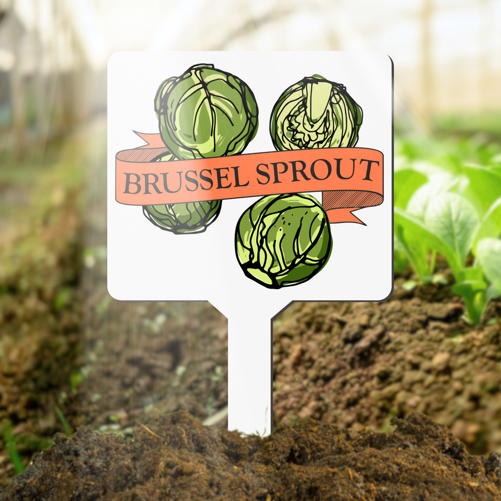 Brussel Sprout Plant Marker