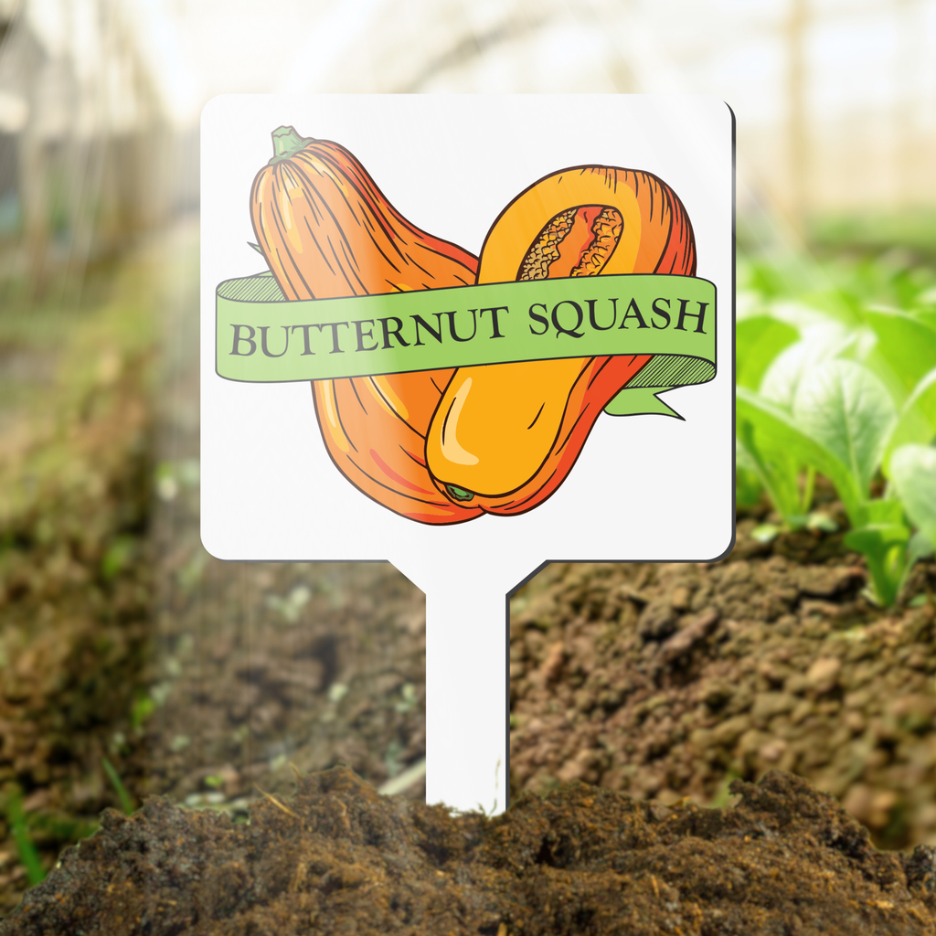 Butternut Squash Plant Marker