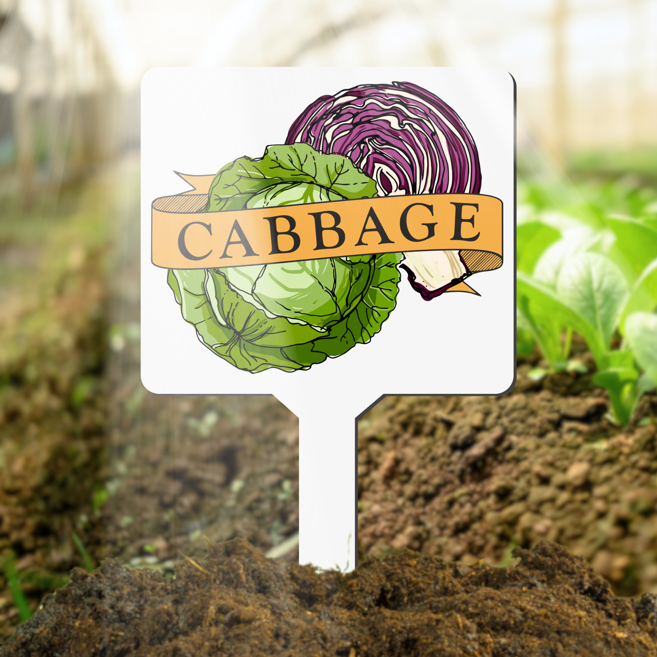Cabbage Plant Marker