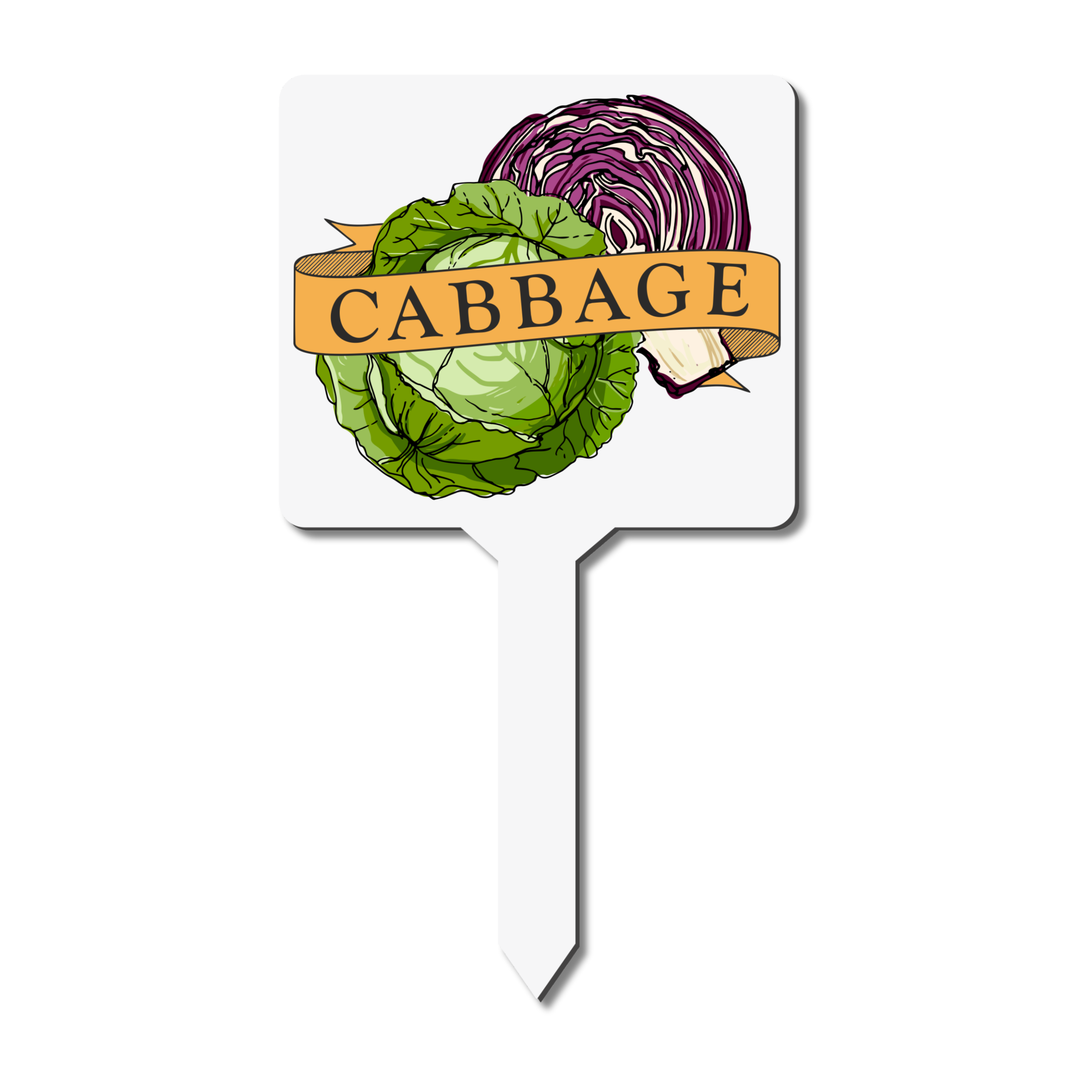 Cabbage Plant Marker