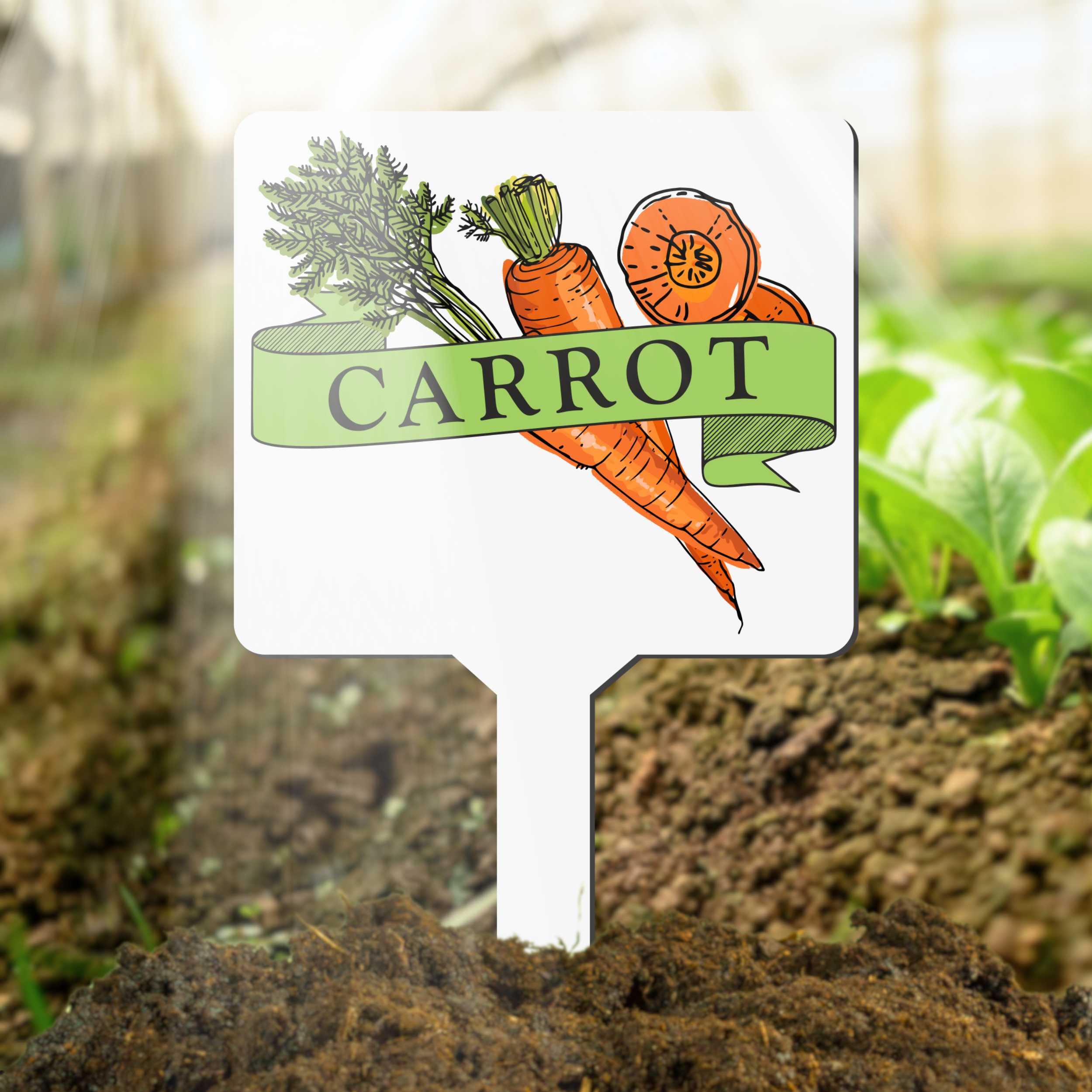 Garden marker with carrot illustration and text in a garden setting