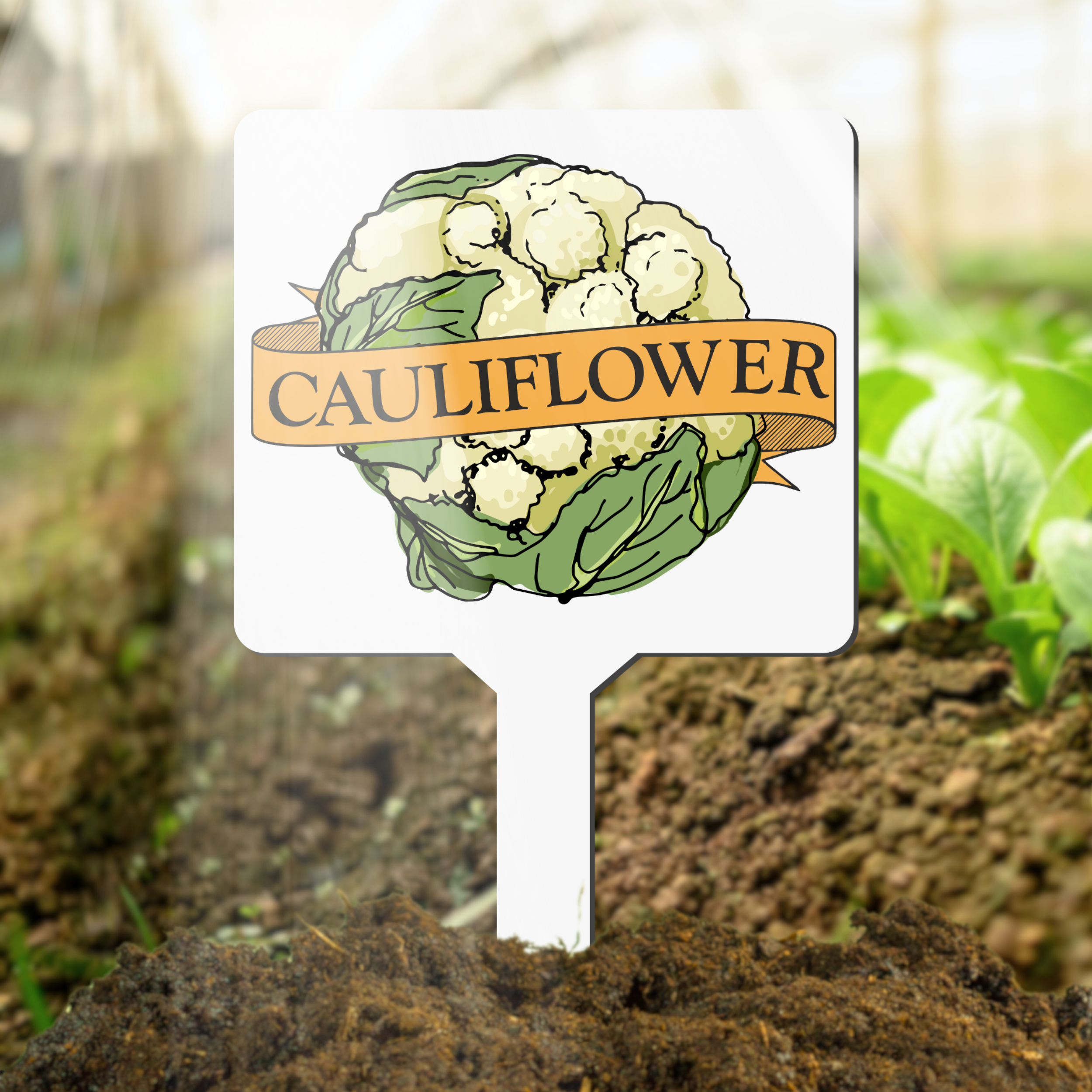 Garden marker with cauliflower illustration and text in a garden setting