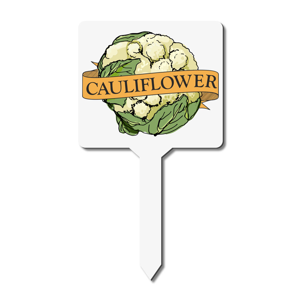 White garden marker with cauliflower illustration and 'CAULIFLOWER' text on a white background