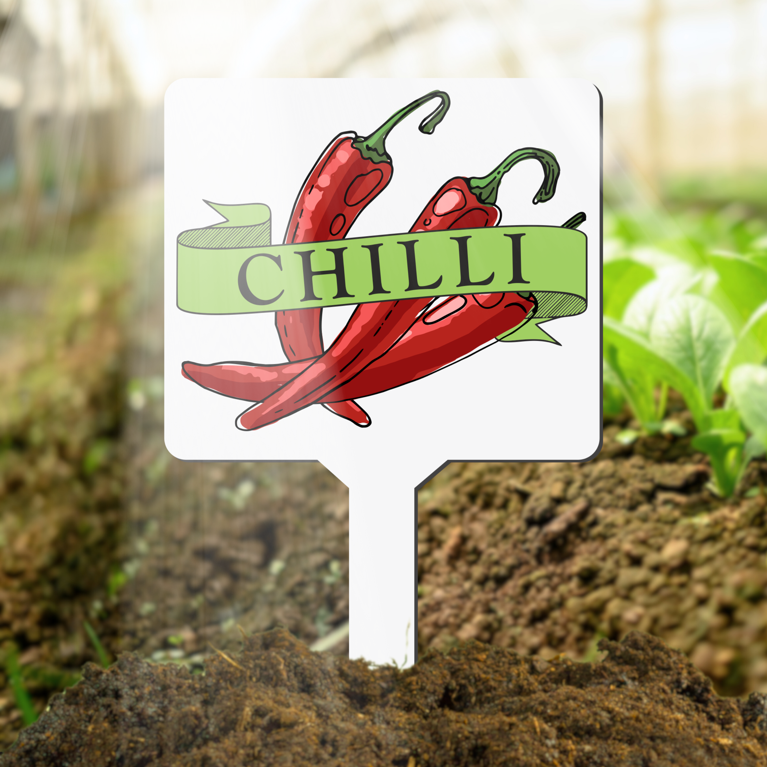 Garden marker with red chili peppers and 'CHILLI' text in a garden setting