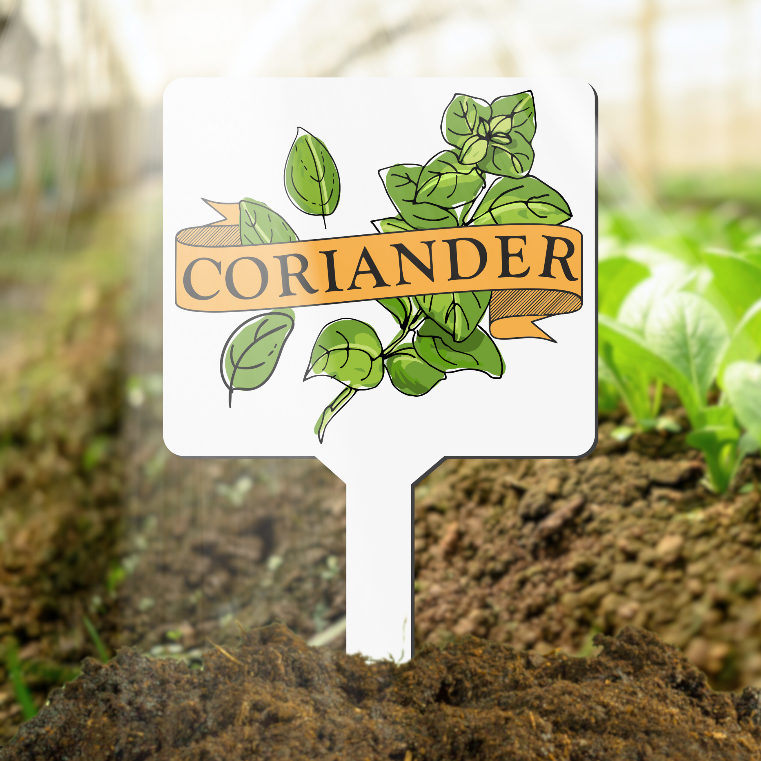 Herb garden marker with 'Coriander' text and illustration in a garden setting