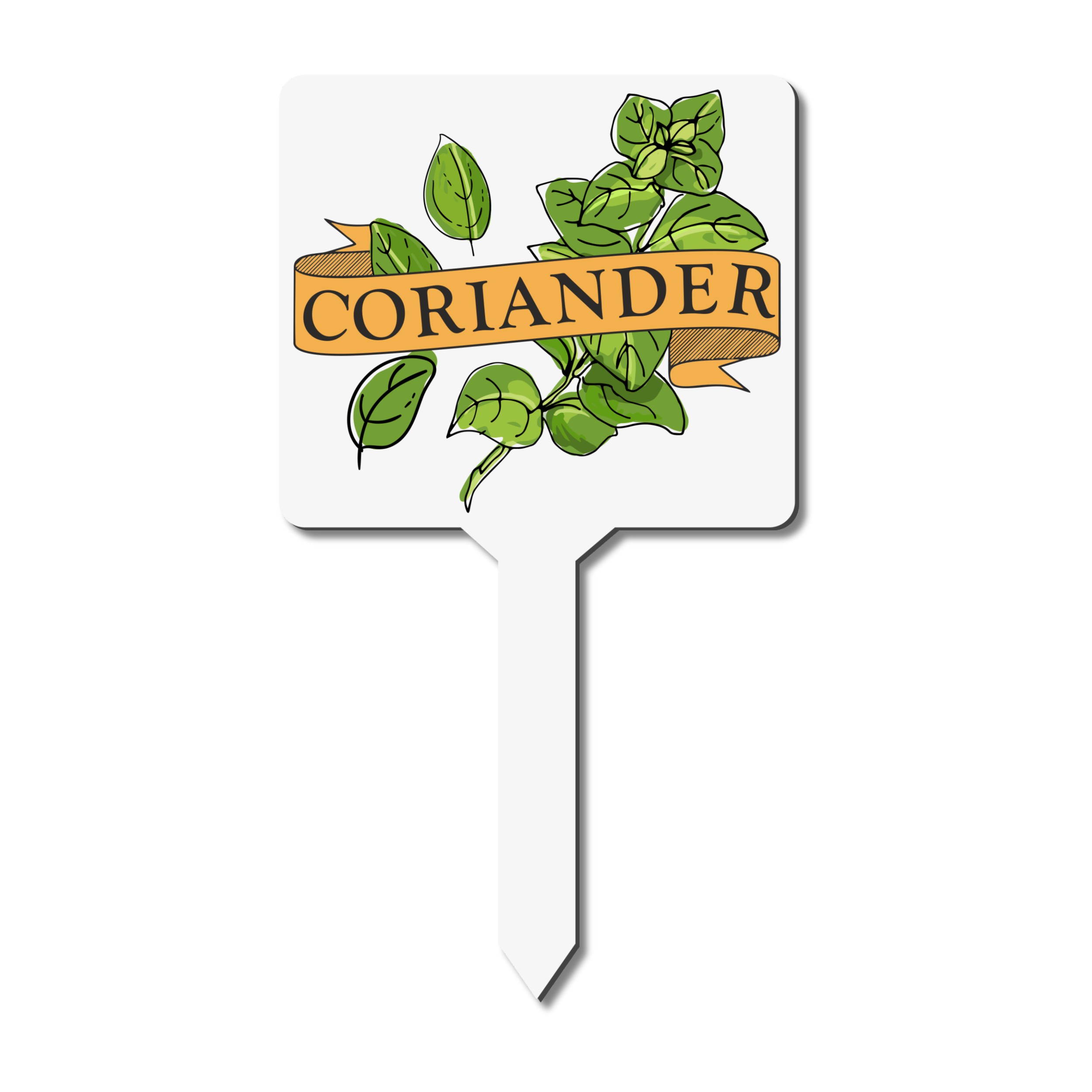 Herb garden marker with 'Coriander' text and illustration