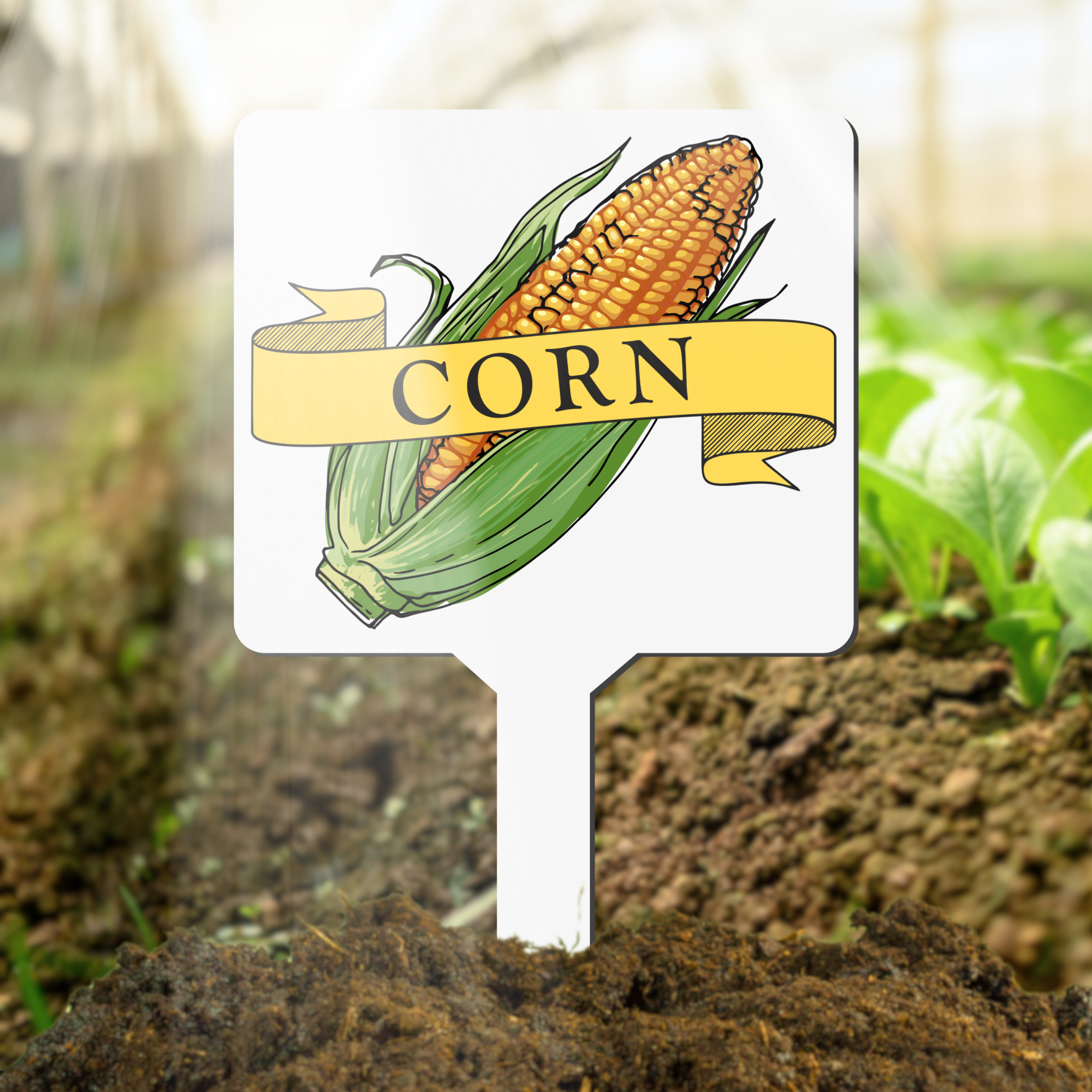 White plant marker with 'corn' text and corn on the cob illustration