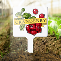 Plant marker with cranberry illustration and label in a garden setting