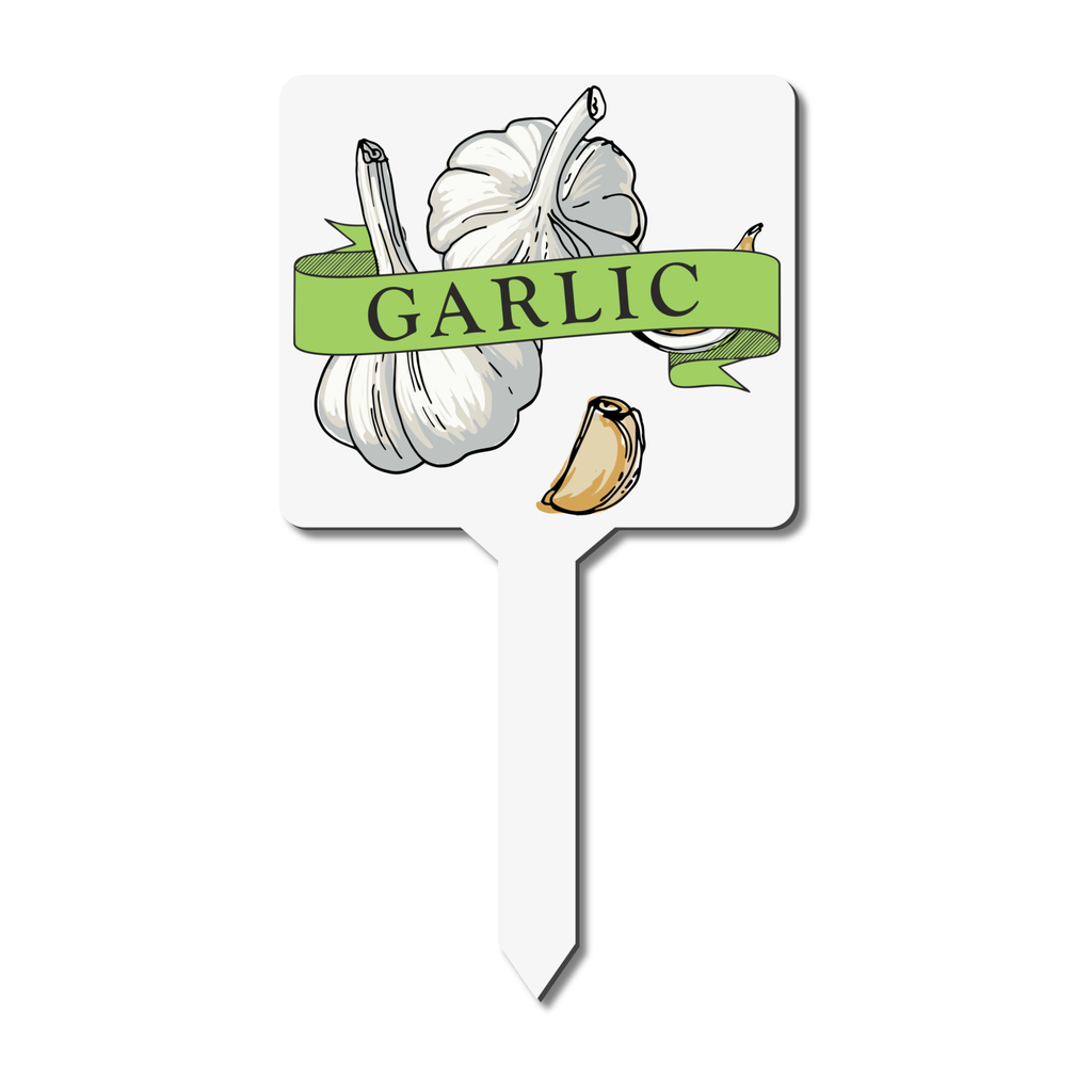 Garlic plant marker with garlic illustration and 'Garlic' text