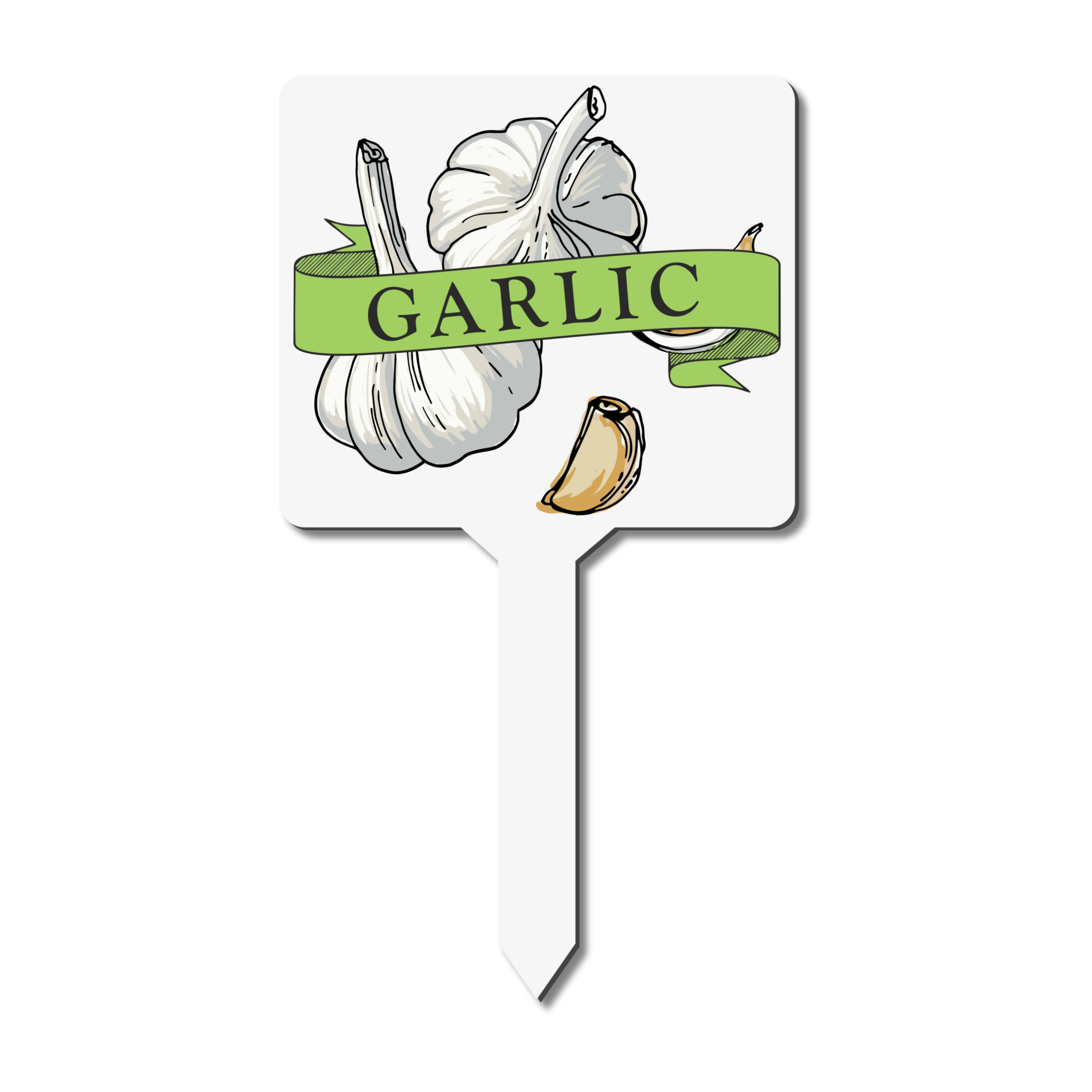Garlic plant marker with garlic illustration and 'Garlic' text
