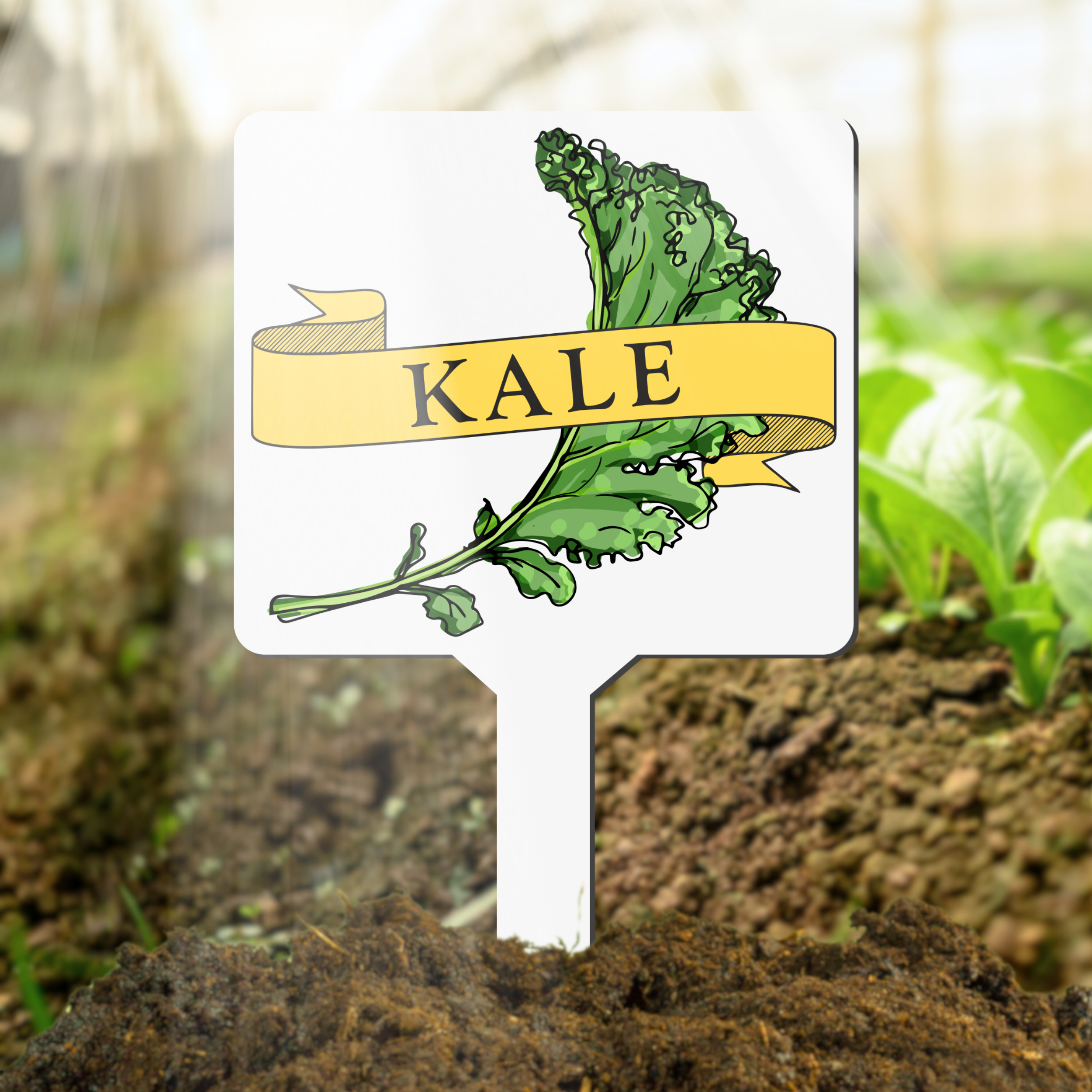Garden marker with 'KALE' text and illustration in a garden setting