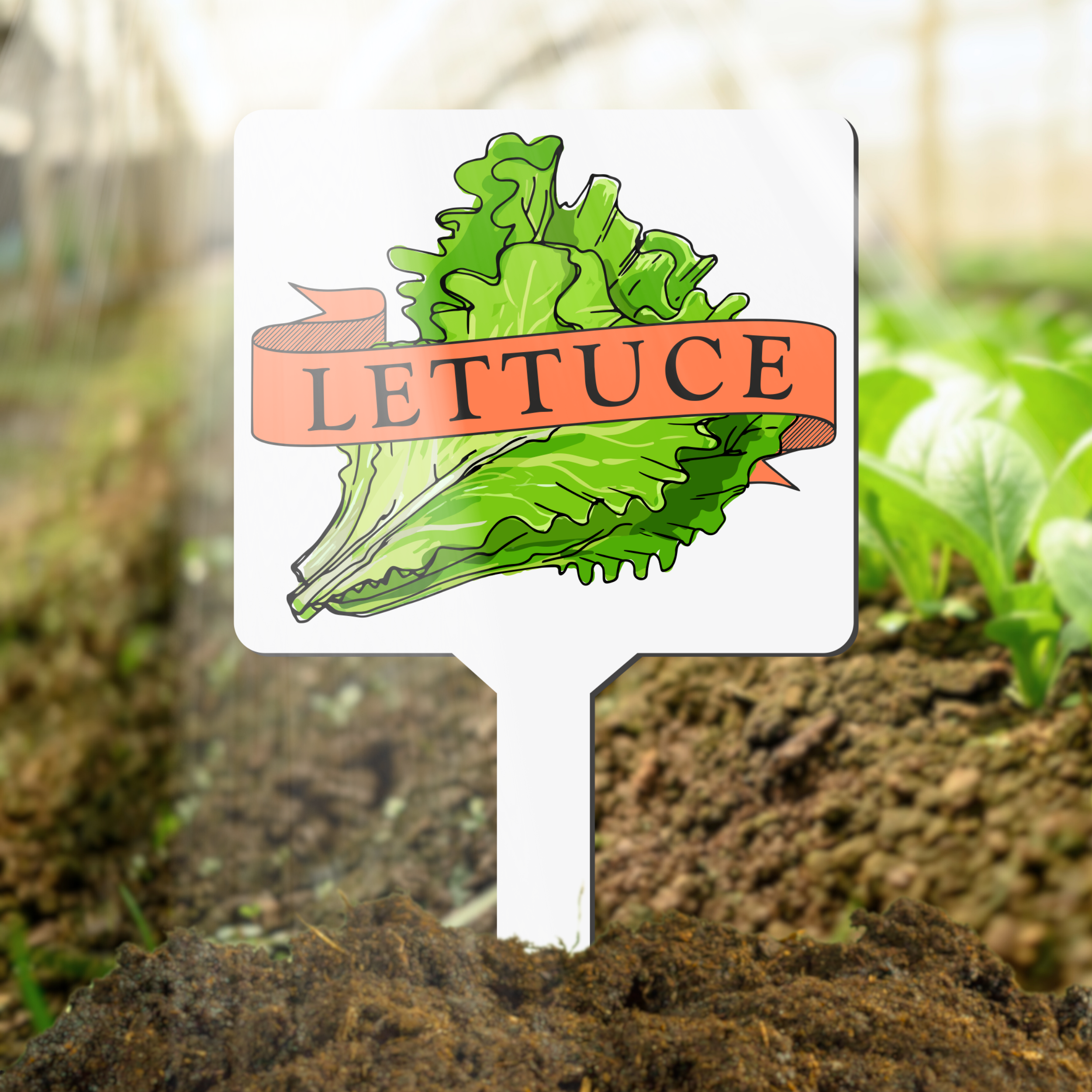Plant marker with lettuce illustration and text in a garden setting