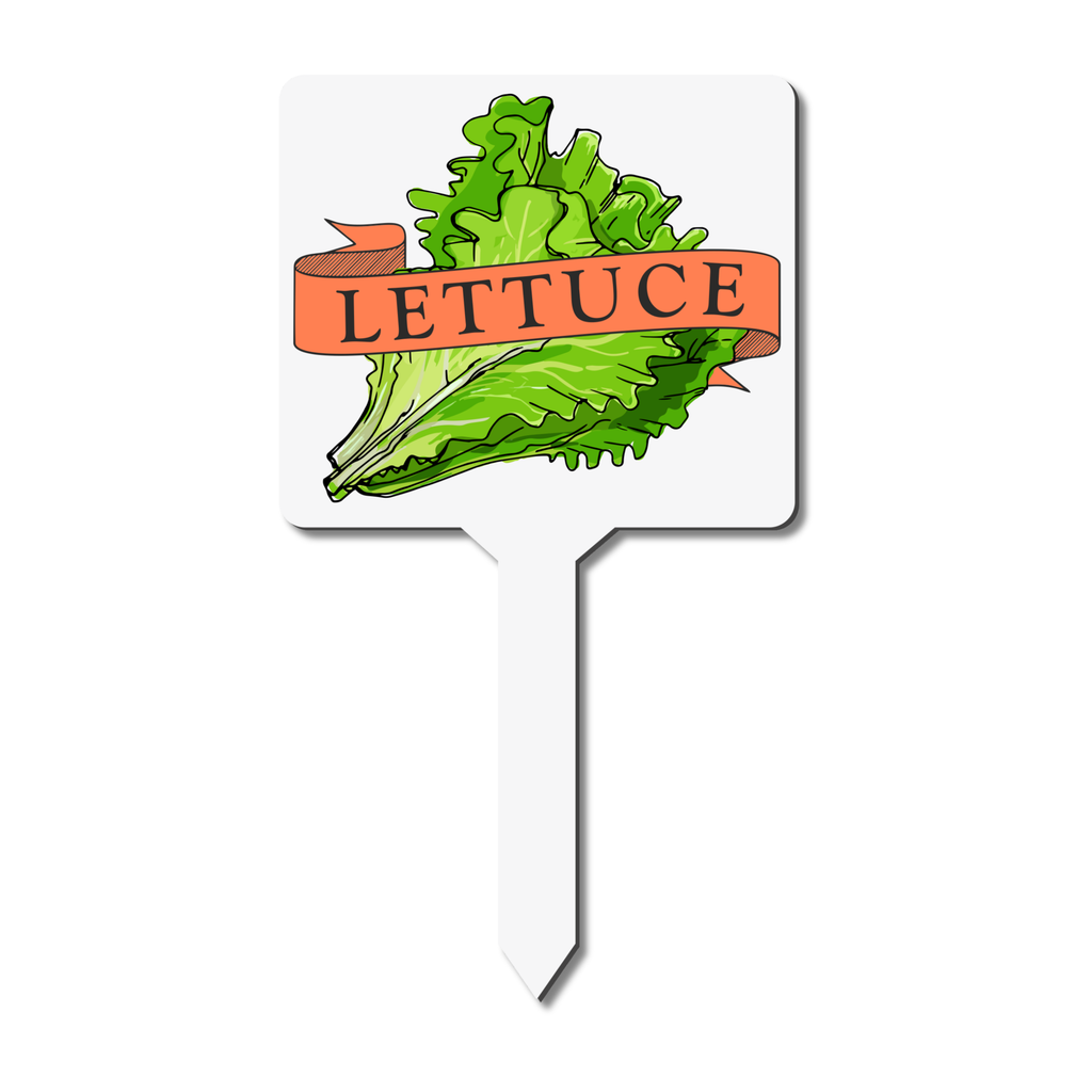 Plant marker with lettuce illustration and text
