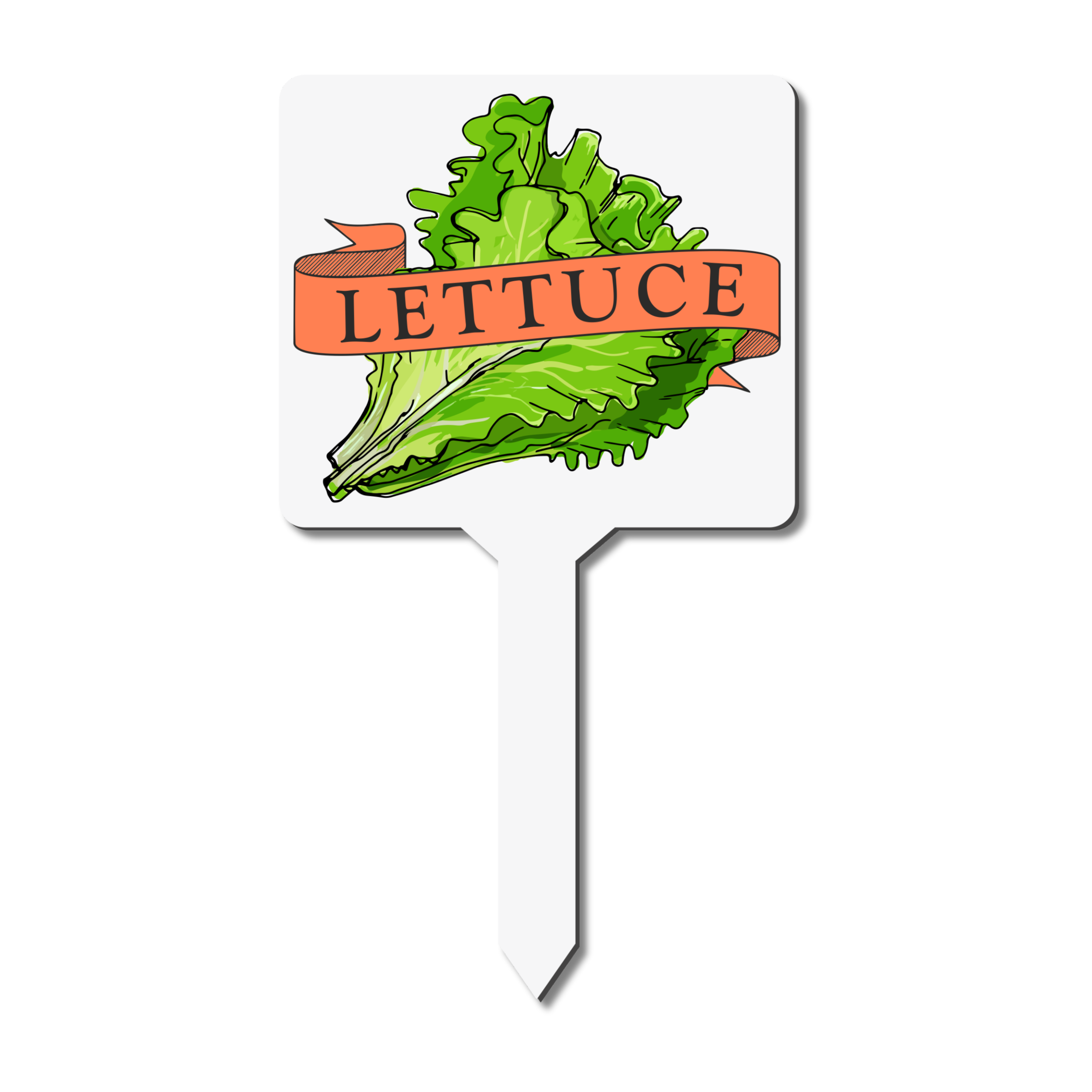 Plant marker with lettuce illustration and text