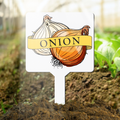 Garden marker with illustration of an onion, labeled 'Onion'