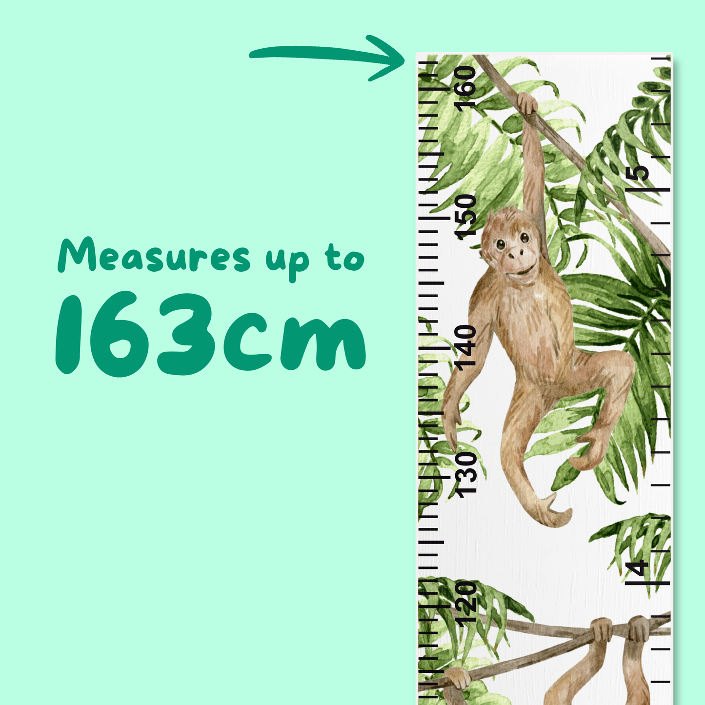 height ruler with monkey design and text indicating measurement capacity on a light green background