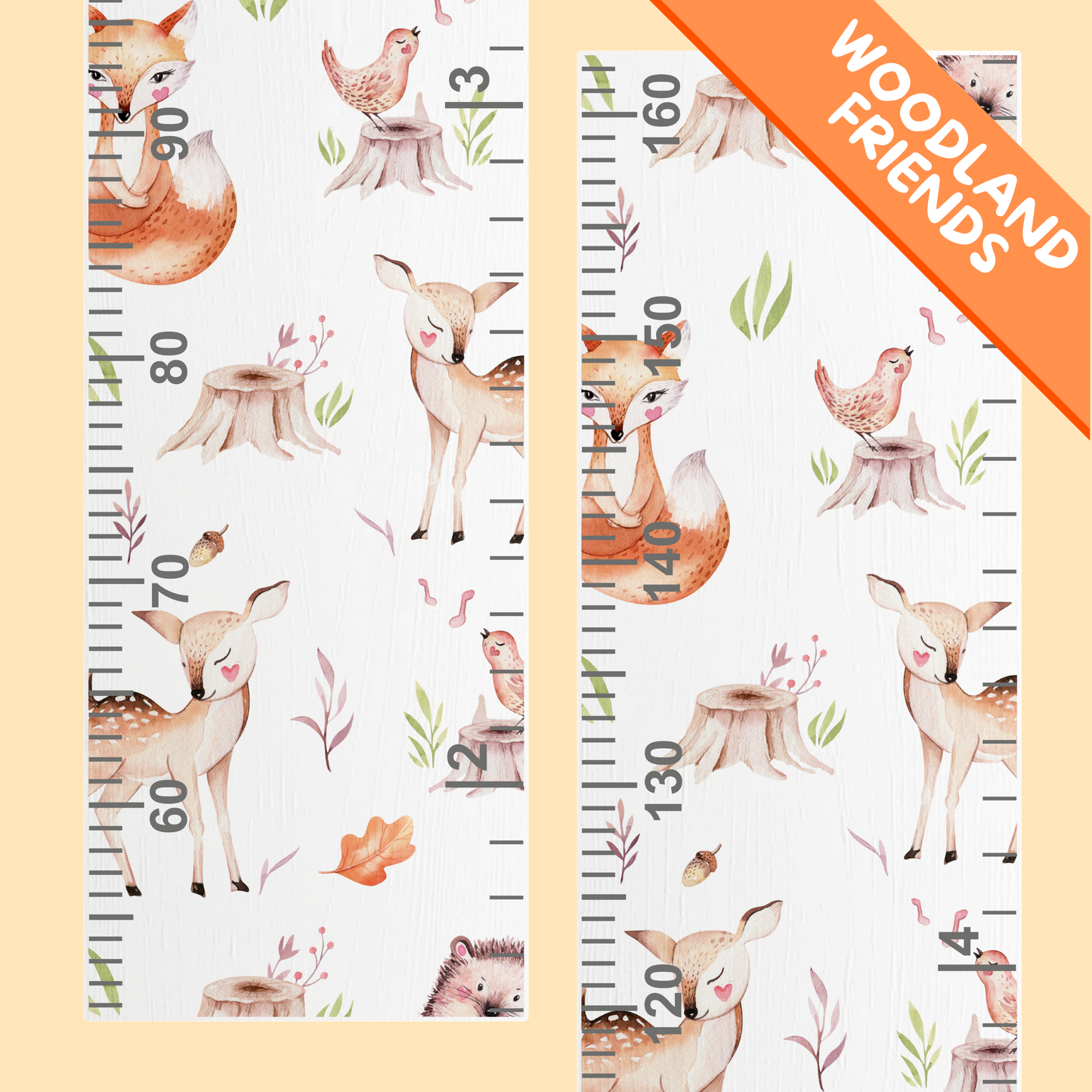 Woodland-themed growth chart with animals and ruler on a white background