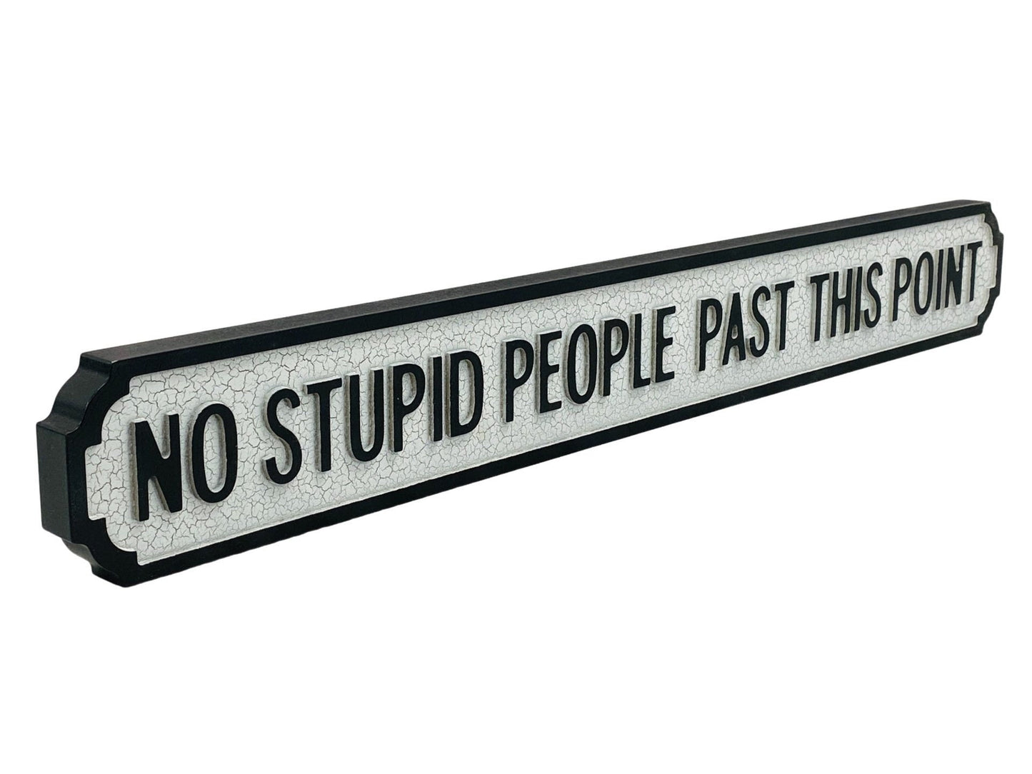No Stupid People Past This Point | Vintage-Style Street Sign